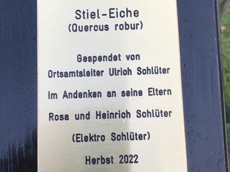 Plakette der Stiel-Eiche